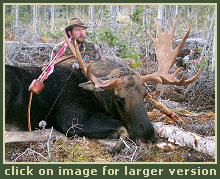 Moose Hunting