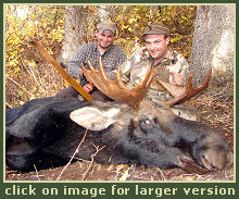 Moose Hunting