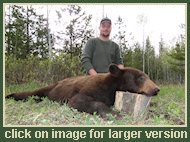 Hunting Black Bear in BC