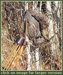 Hunting for grouse, black bear, wolf, ducks and fishing