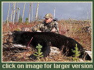 Black Bear Hunting
