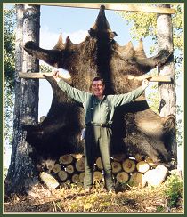 Grizzly Hide
