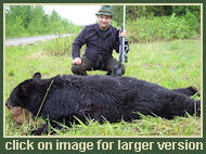 Black Bear Hunting