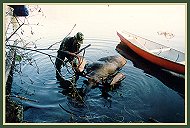 Moose Hunting