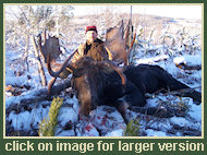 Moose Hunting