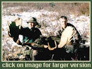 Moose Hunting
