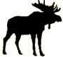 moose