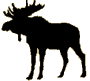 Moose